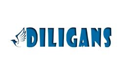 Diligans (cmc.com.ua)