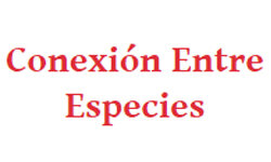 conexionentreespecies.com