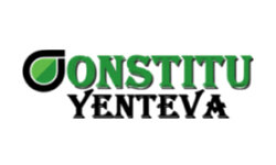 constituyenteva.org