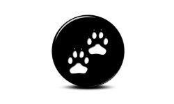 cornwallsvoiceforanimals.org