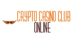 Crypto casino club online (cryptocasinoclubonline.com)