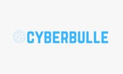 Кибер-пуля (cyberbulle.com)