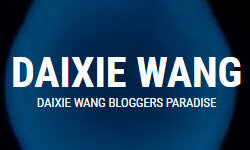 daixiewang.cn