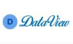 dataview.in