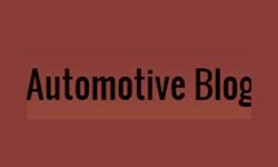 Голландські леви Дейтона (daytondutchlions.com)