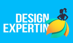 designexpertin.de