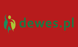 dewes.pl