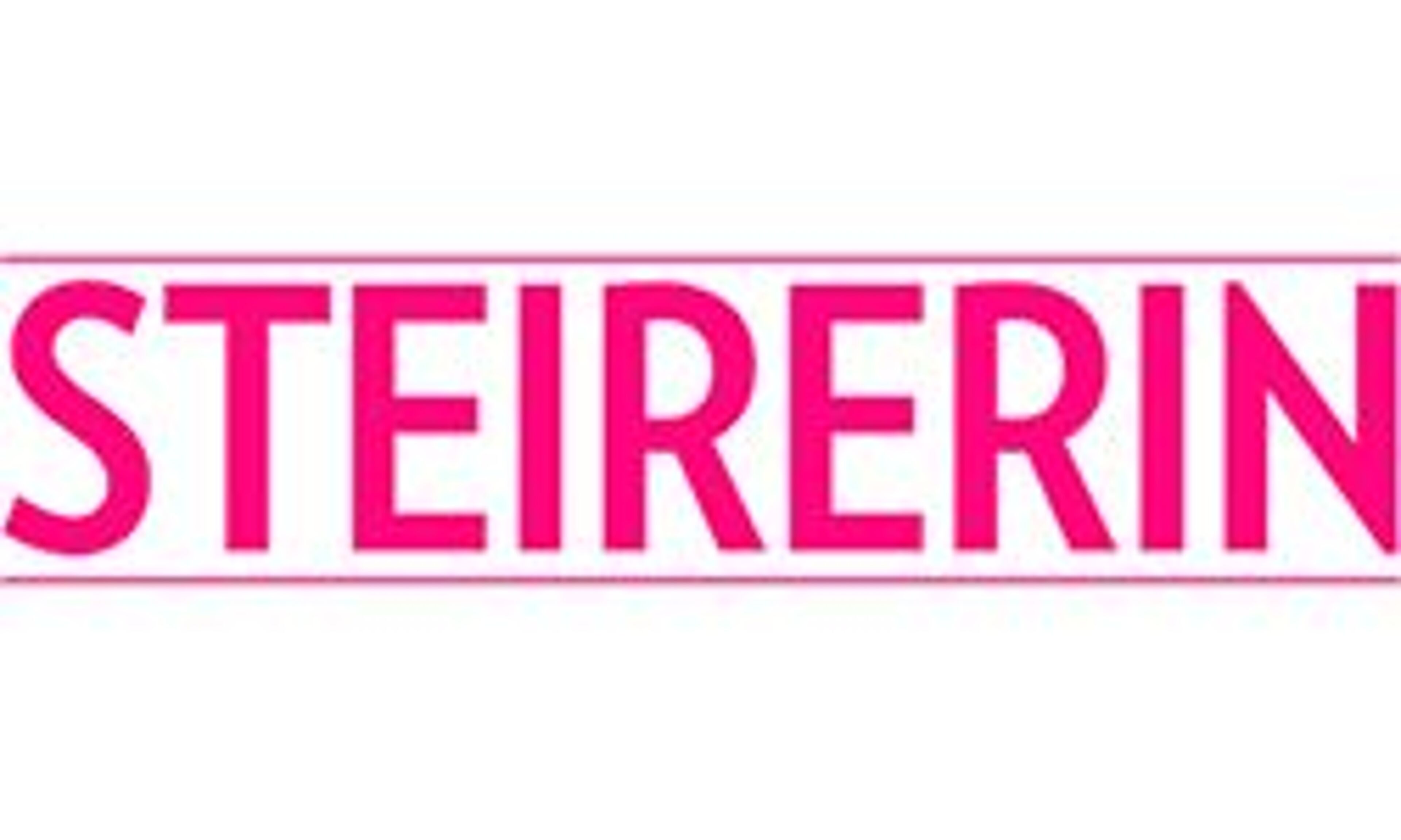 Die Steirerin (diesteirerin.at)