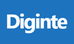 diginte.com