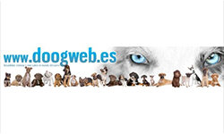 docuweb.es