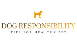 dogresponsibly.com