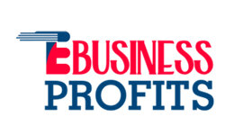 ebusinessprofits.com