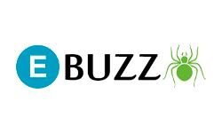 Pająk Ebuzz (ebuzzspider.com)