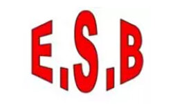 electricskateboards.best