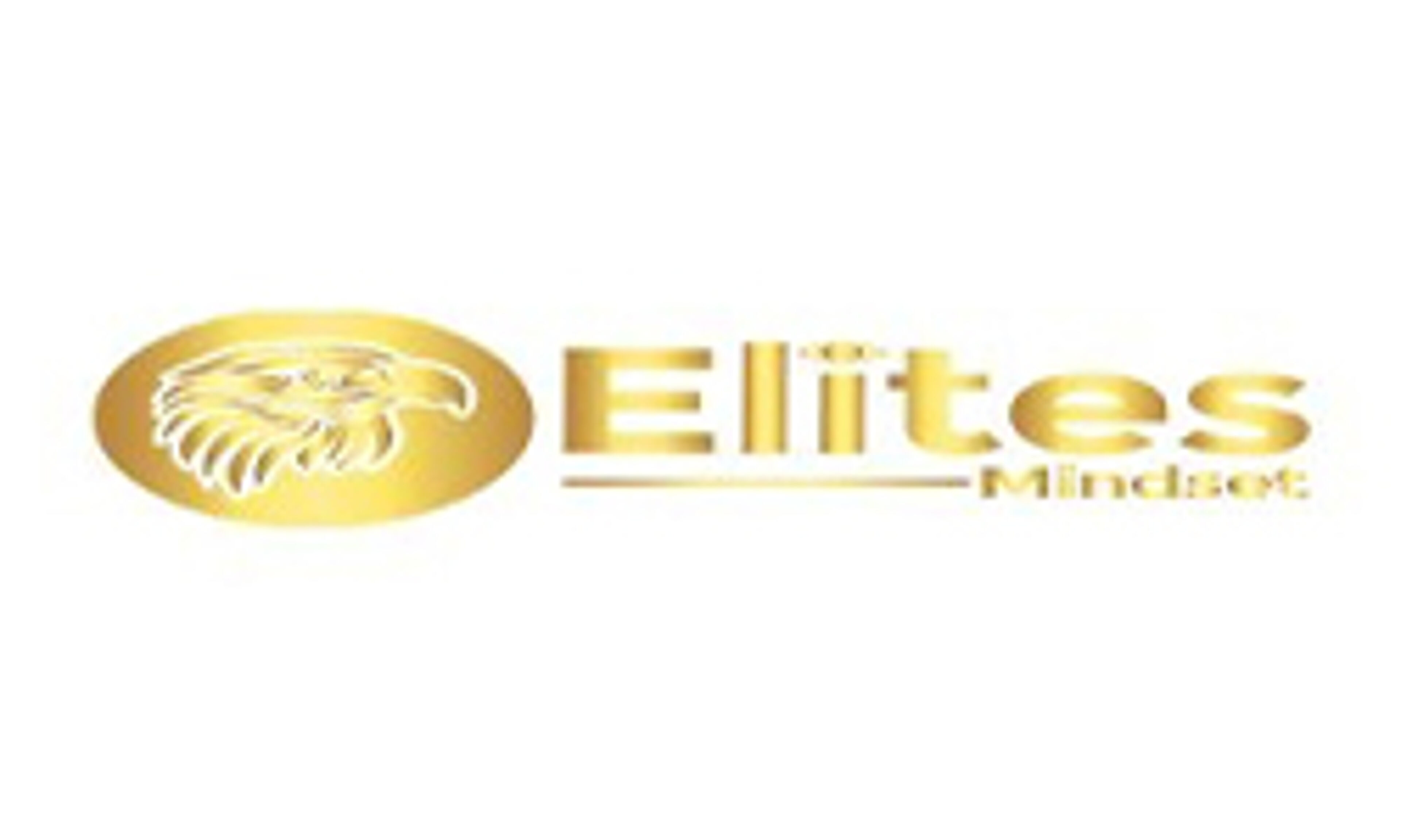 elitesmindset.com