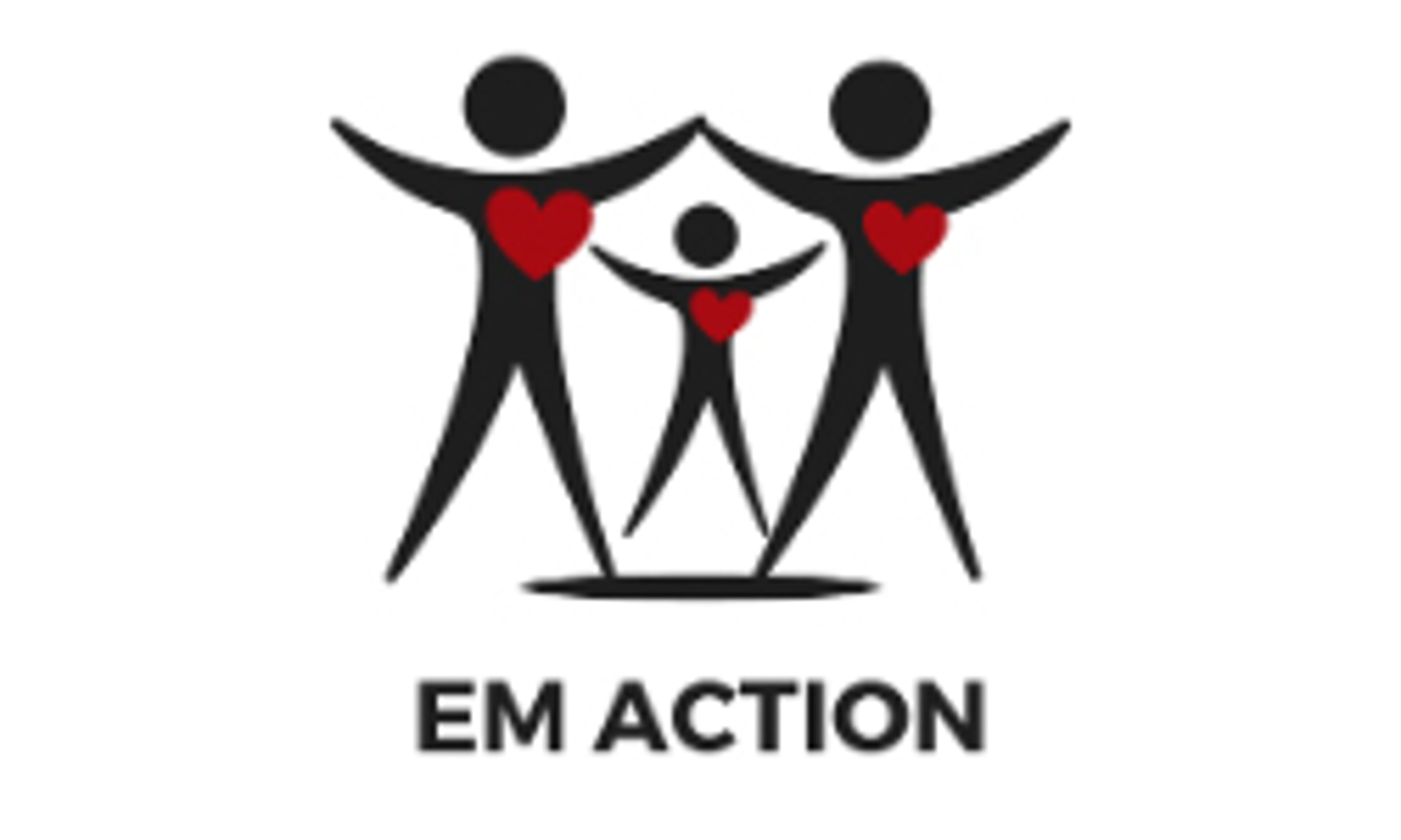 em-action.fr
