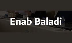 Энаб балади (enabbaladi.org)