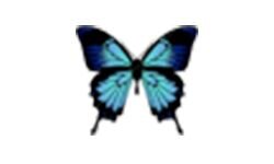 Entomolog (entomolog.info)