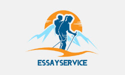 essayservice24.com