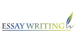 essaywritingservicee.net