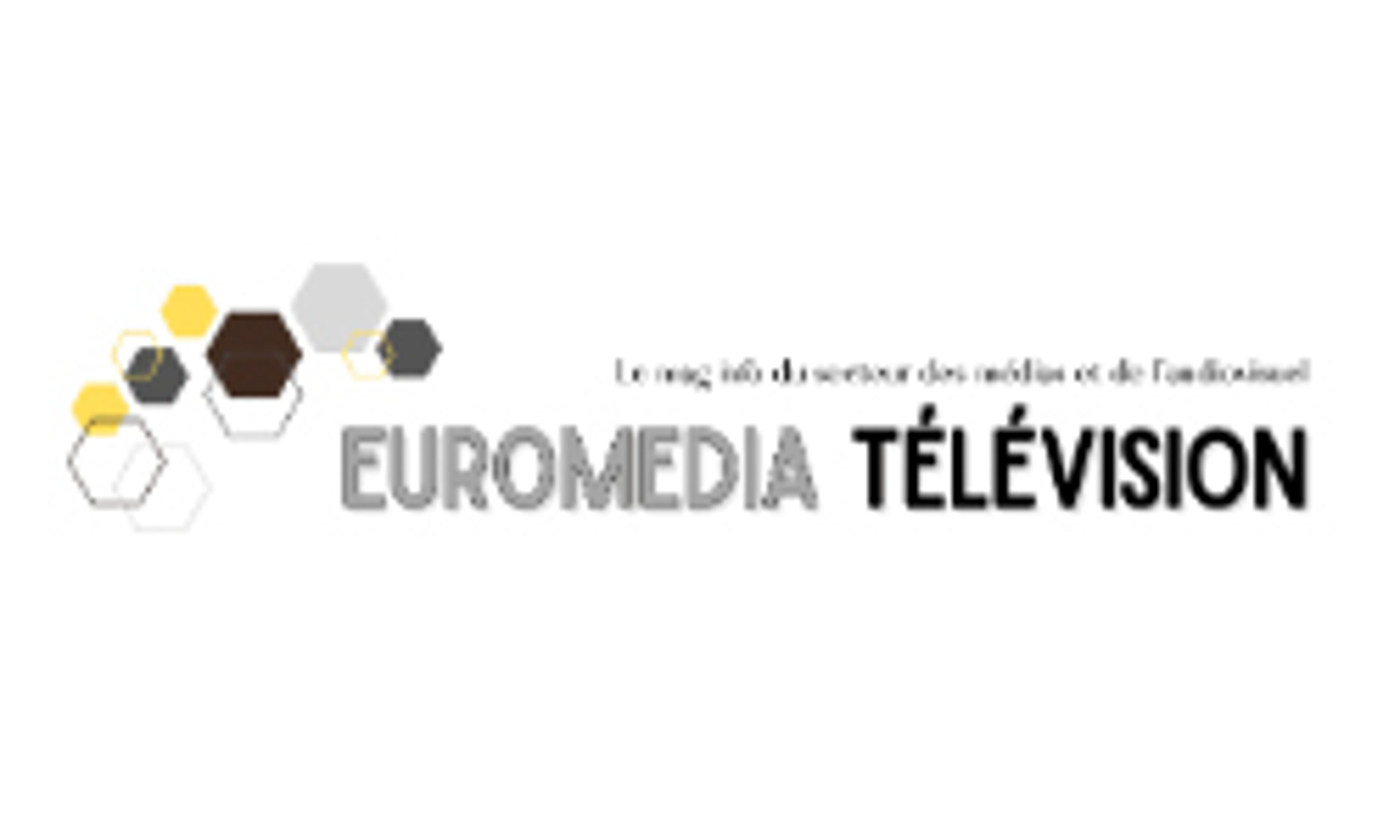 euromediatelevision.fr