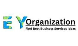 eyorganization.com
