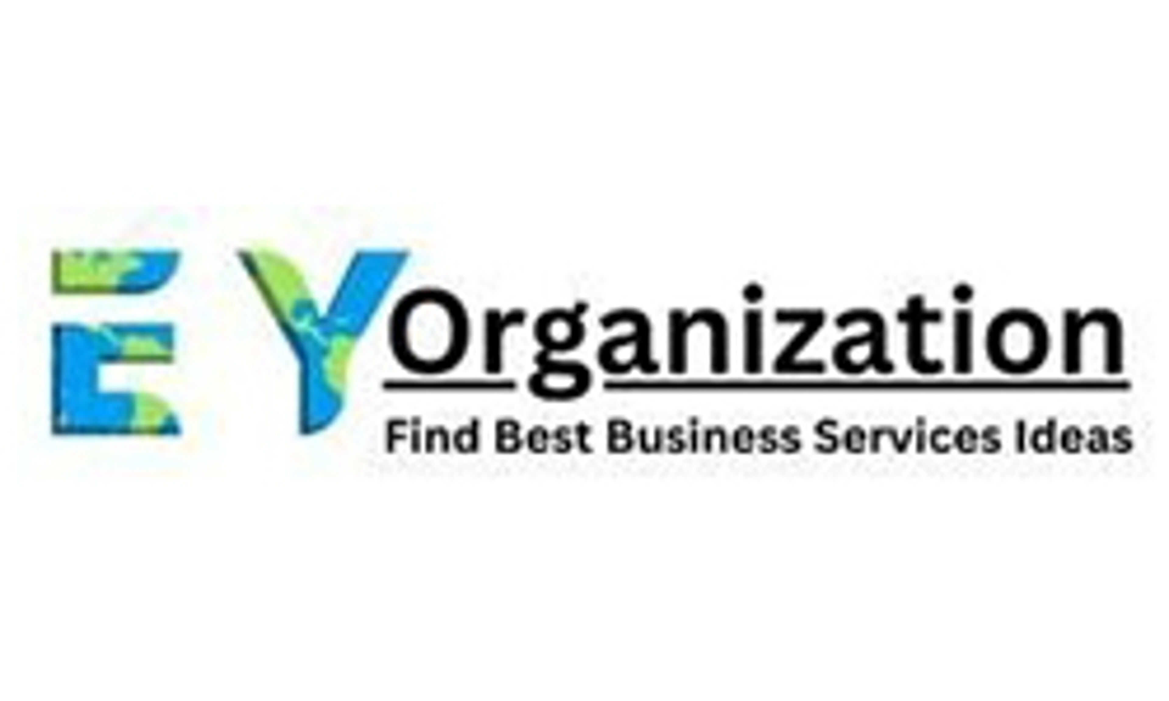 eyorganization.com