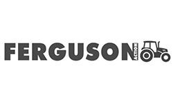 fergusonaction.com