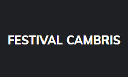 festivalcambrils.com