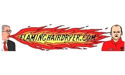 Пламенный фен (flaminghairdryer.com)