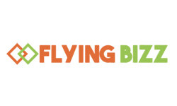flyingbizz.com