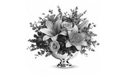 fortniteprosettings.com