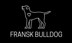 fransk-bulldog.com