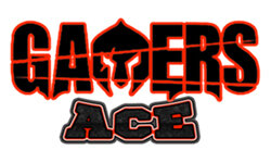 gamersace.com