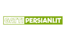 gattipersiani.it