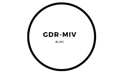 gdr-miv.fr