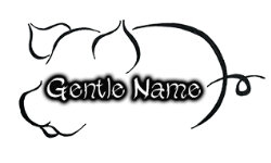 gentlename.com