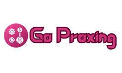 goproxing.com