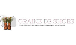 grainedeshoes.com