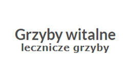 grzyby-witalne.pl