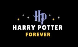 هاري بوتر إلى الأبد (harrypotterforever.fr)