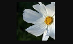 haushalt-garten-ratgeber.de