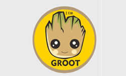 iemgroot.com