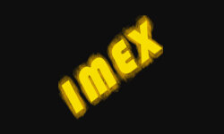 imexassociates.com