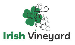 irishvineyard.com