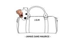 Никогда без Маврикия (jamaissansmaurice.com)