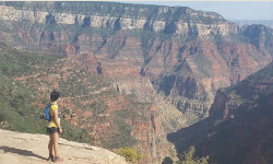 janolisamotorsport.com