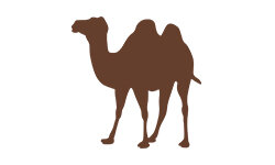 jordanien-entdecken.de