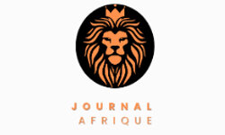 Afrikka Sanomalehti (journalafrique.com)