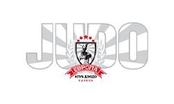 Judo-sambo (Odessza) (judosambo.od.ua)